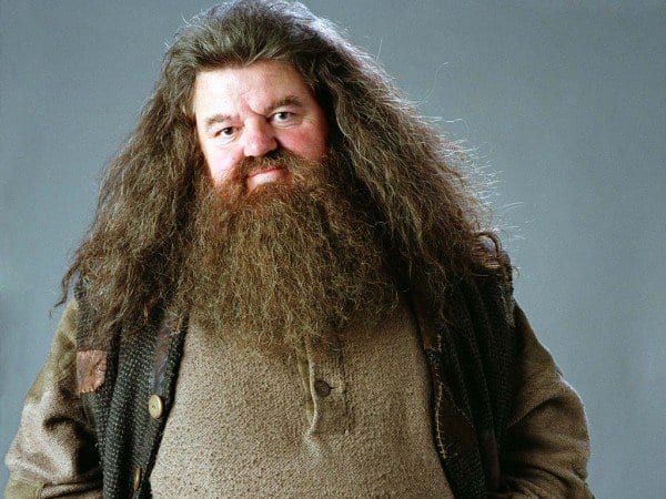 Hagrid na Universal
